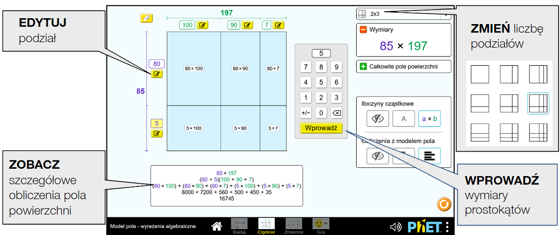 area-model-algebra_pl6