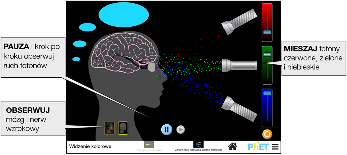 color-vision5