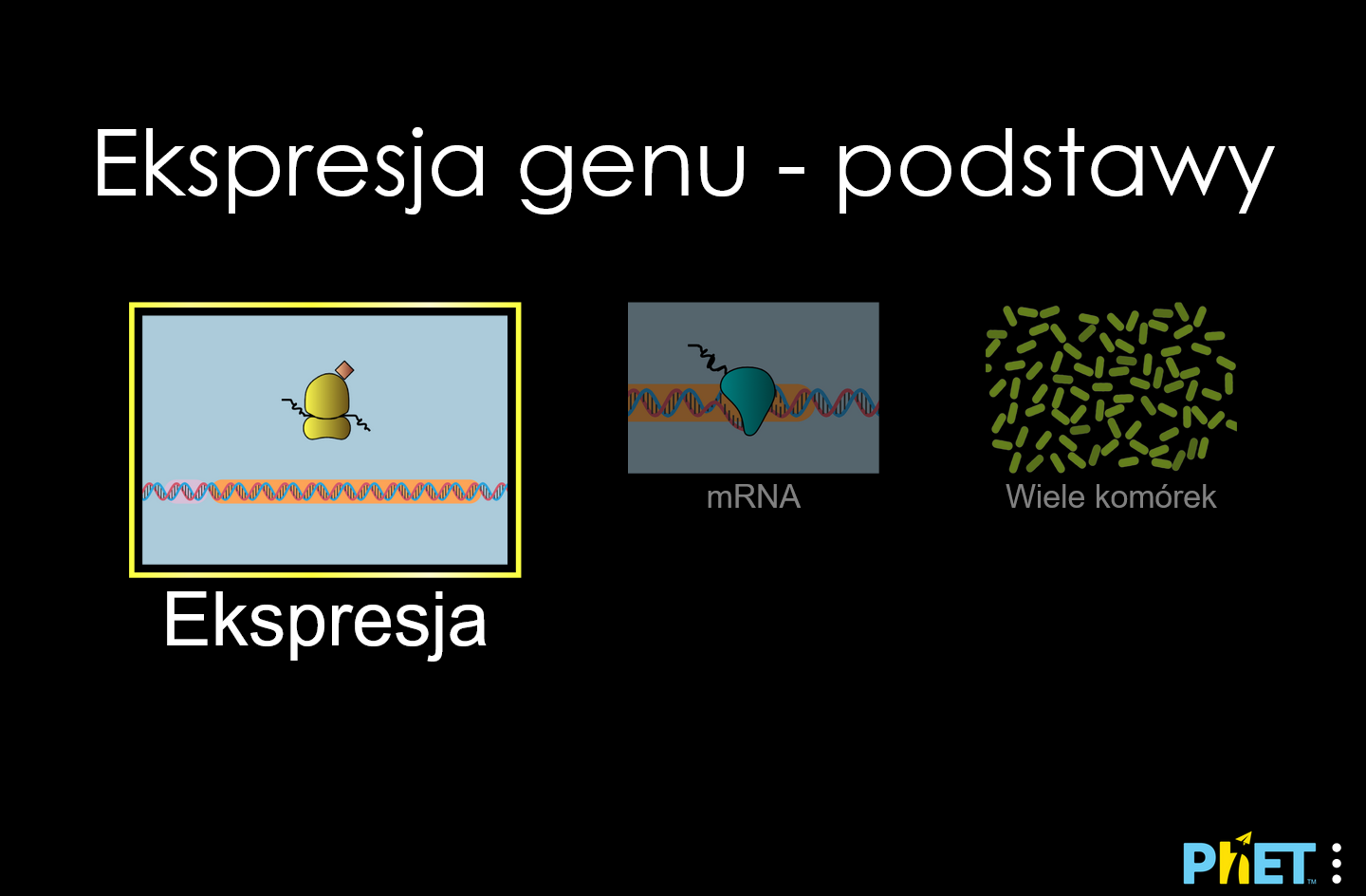 gene-expression-essentials