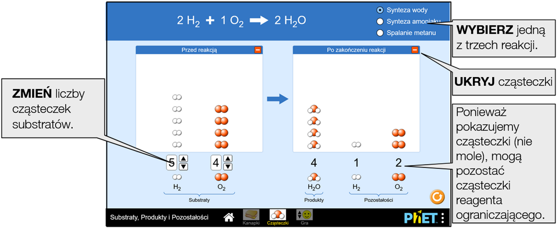 reactants-products-and-leftovers6